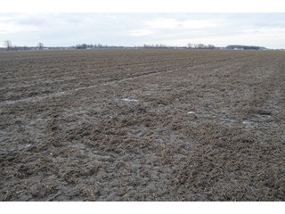 Property photo 11 - 173 +/- Acres Offered in 3 Tracts - Ohio Farmland